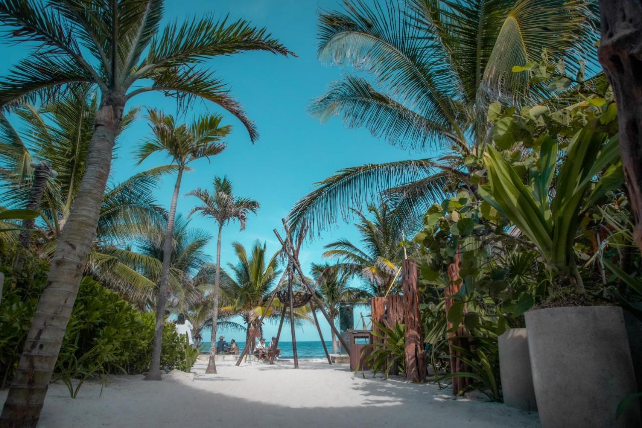 Hotel Lirios Tulum