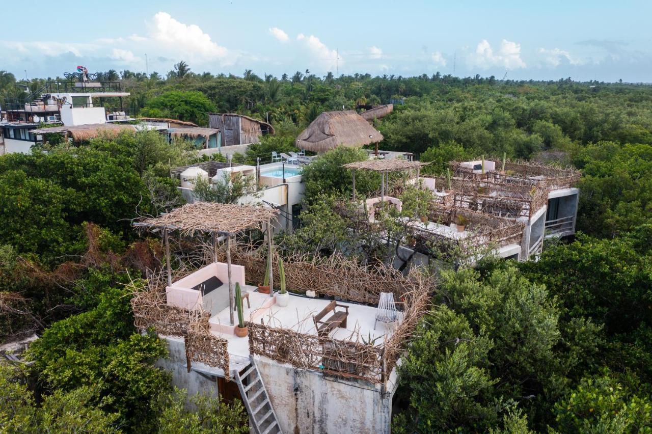 Casa Coyote 3*