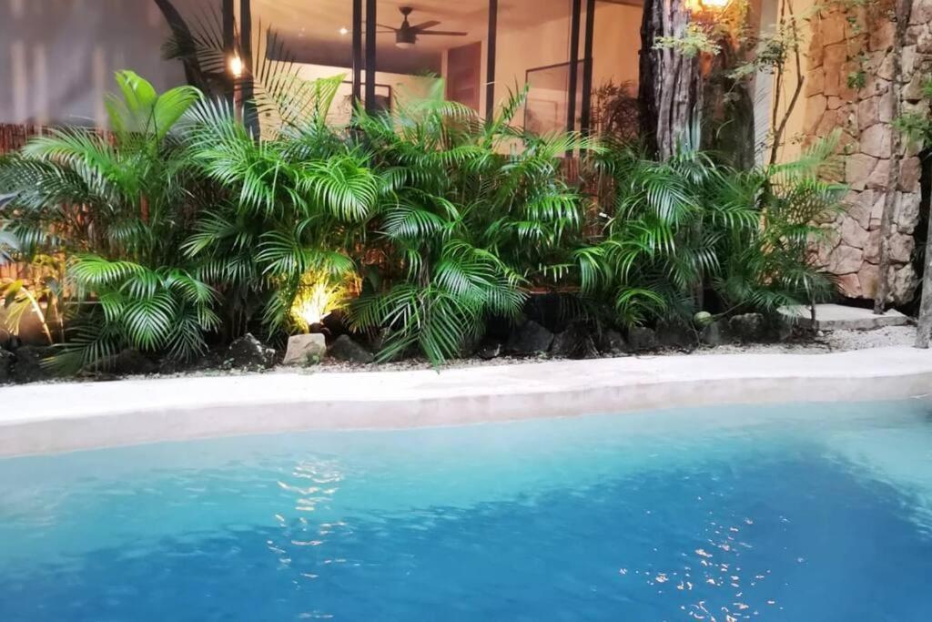 Agua & Selva Luxury Jungle Loft Apartamento
