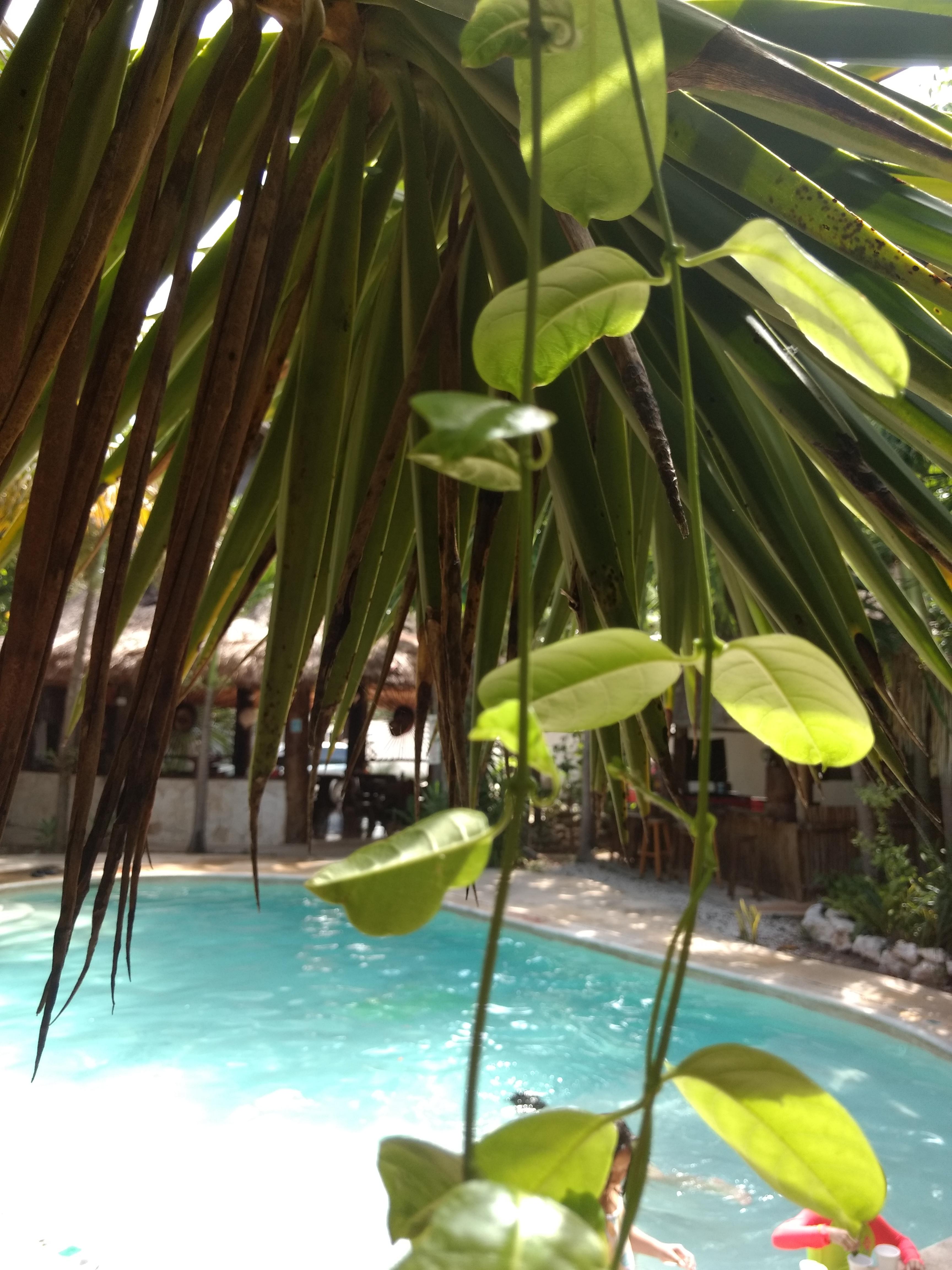 & Gardens Tulum