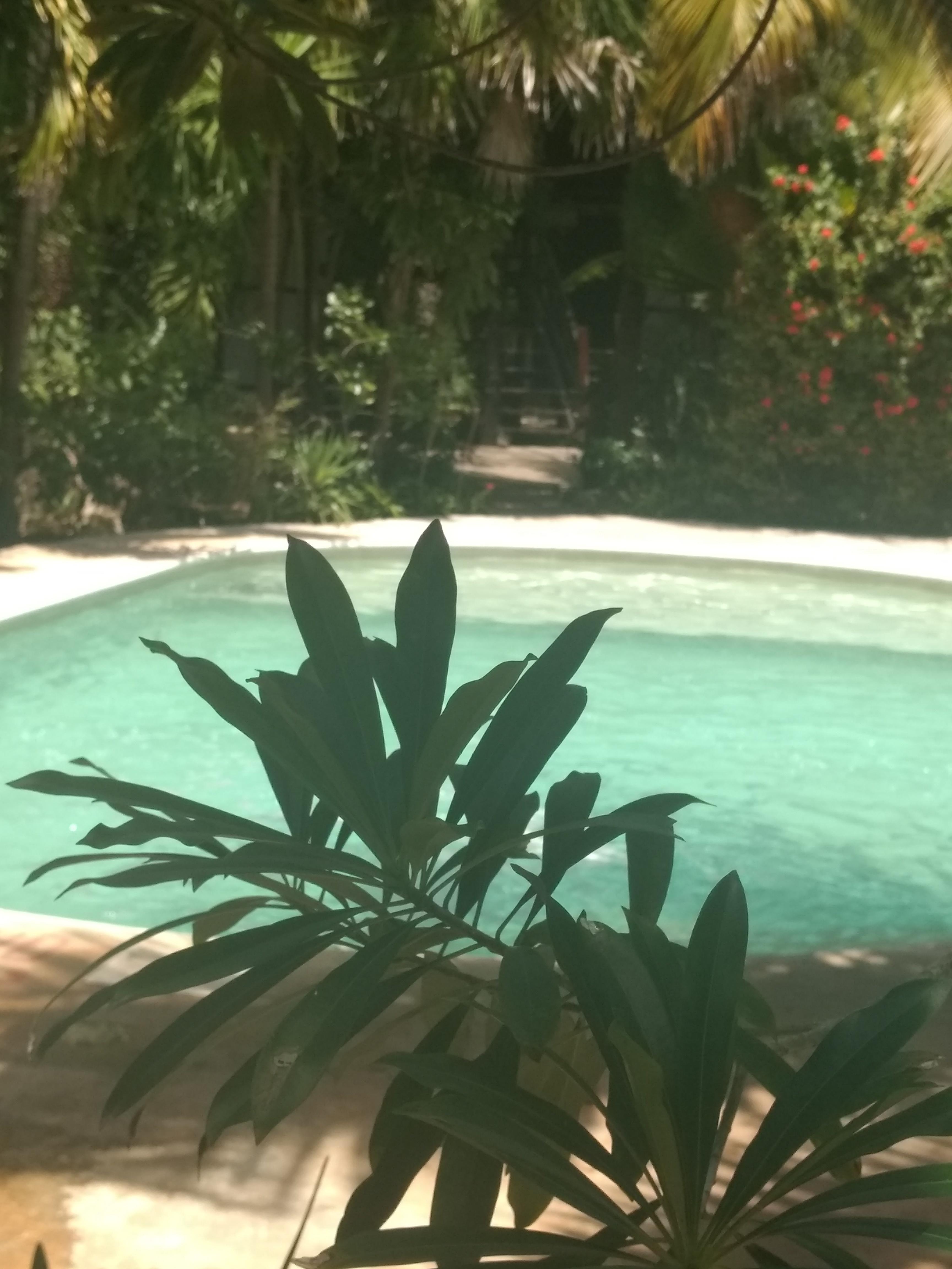 Hotel & Gardens 3*