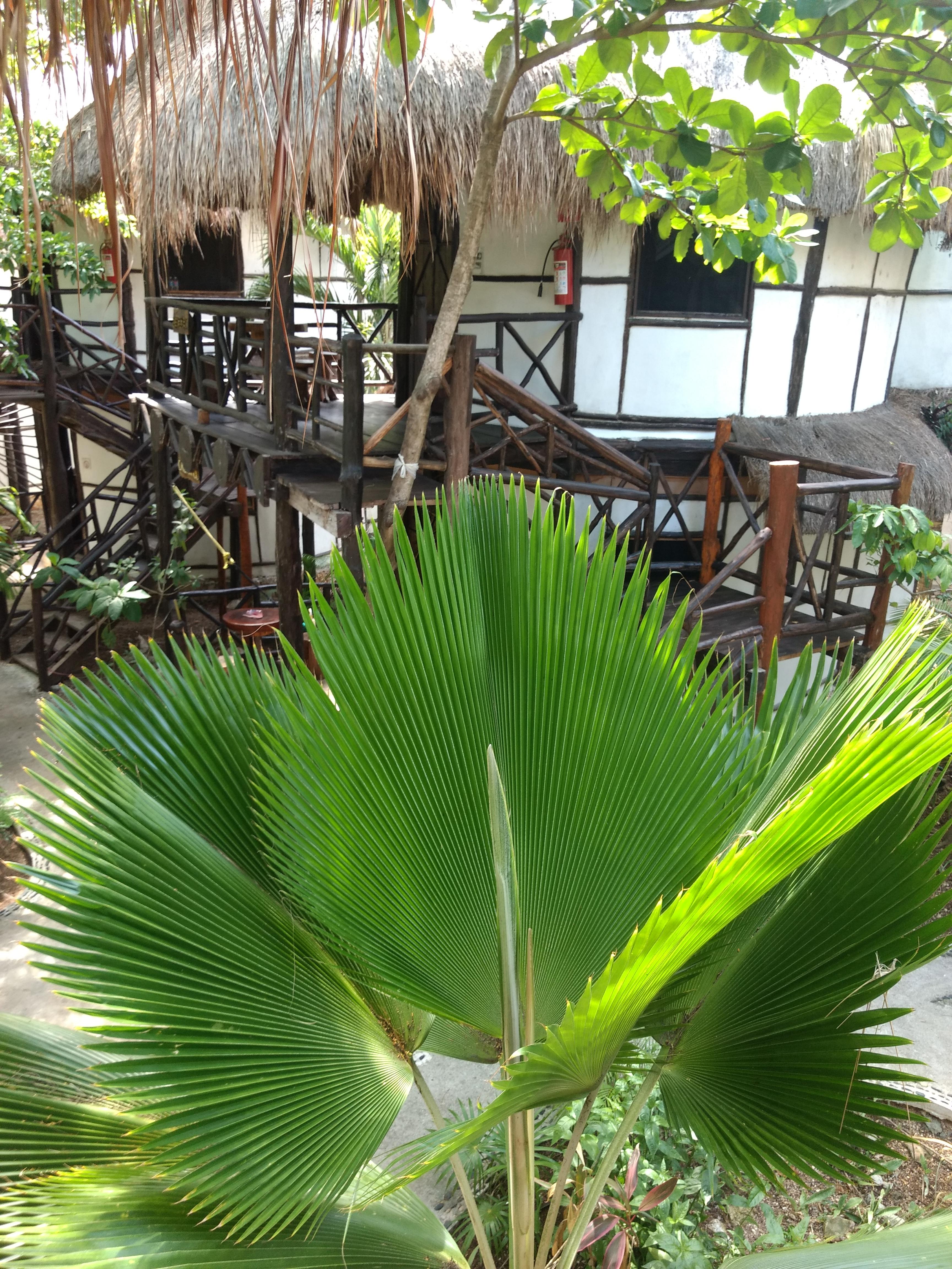 & Gardens Hotel Tulum