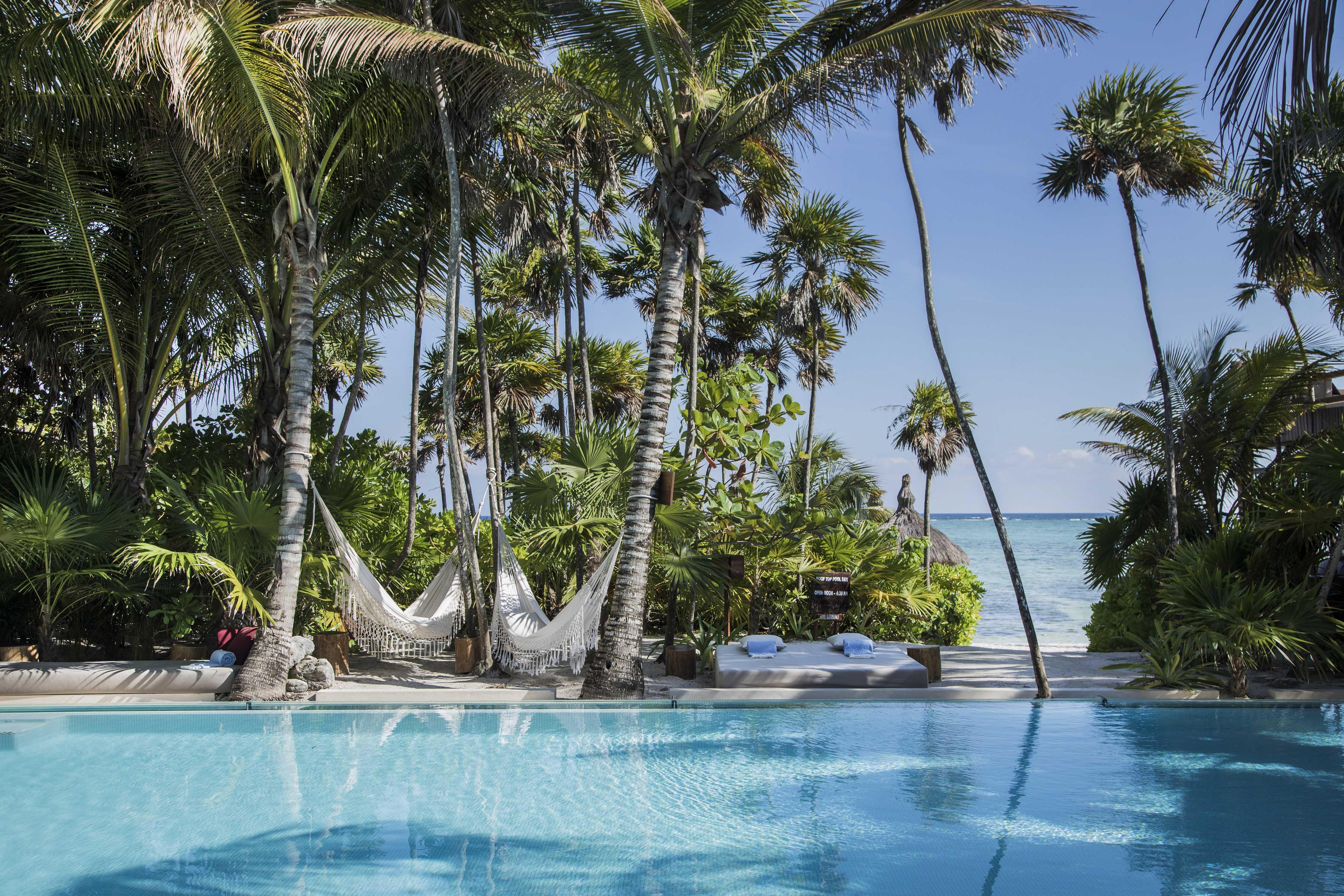 Jashita (adults Only) 5*