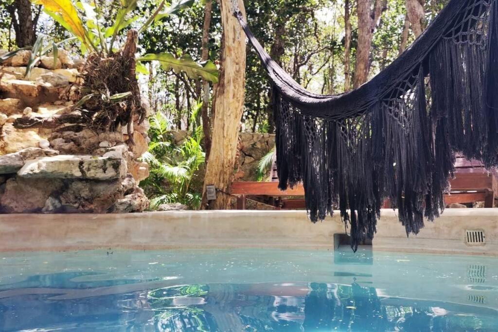 Apartamento Agua & Selva Luxury Jungle Loft