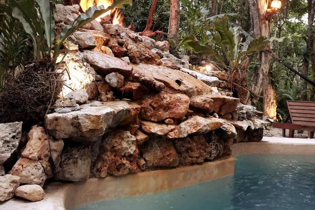 Apartamento Agua & Selva Luxury Jungle Loft *
