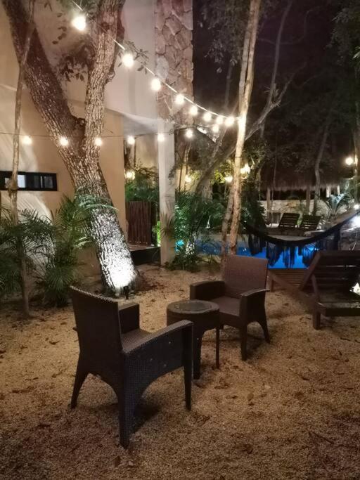 Apartamento Agua & Selva Luxury Jungle Loft
