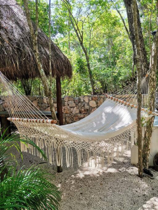 Agua & Selva Luxury Jungle Loft