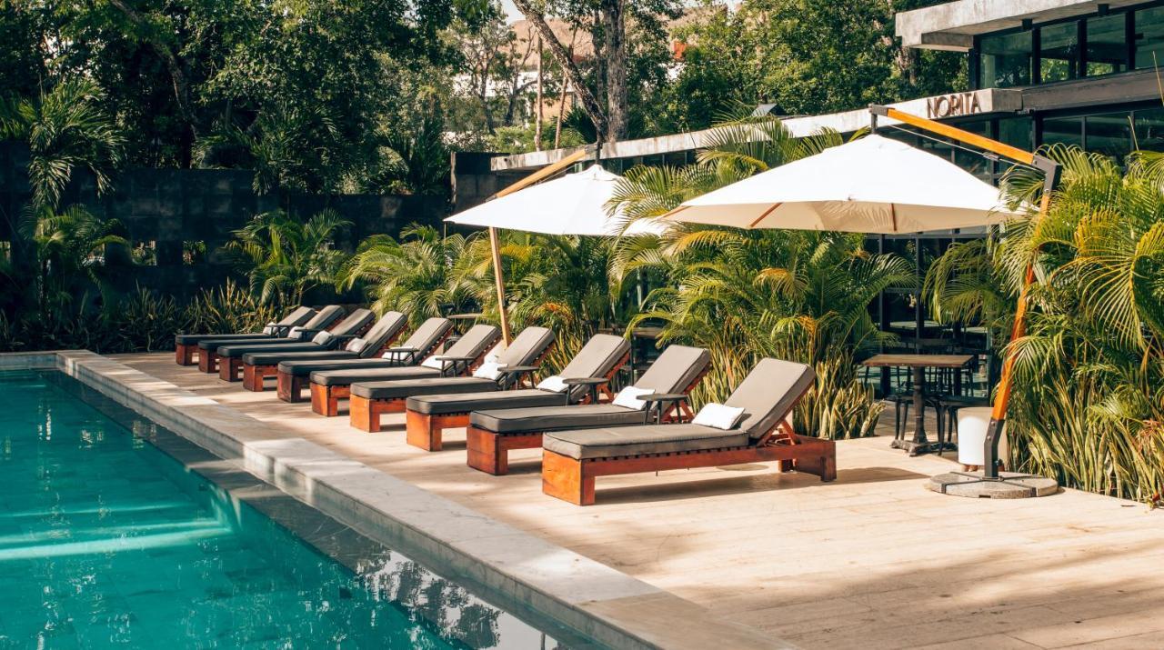 Arthouse Art Residences Apartahotel Tulum