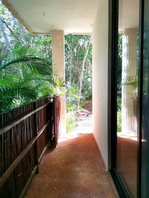Agua & Selva Luxury Jungle Loft Apartamento