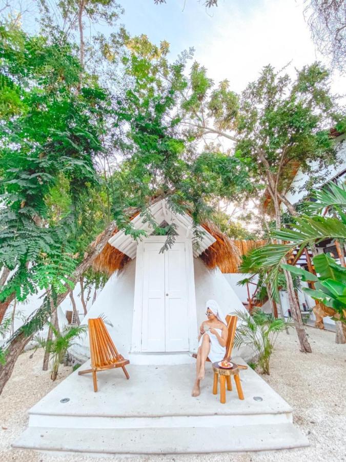 Mimosa Tulum
