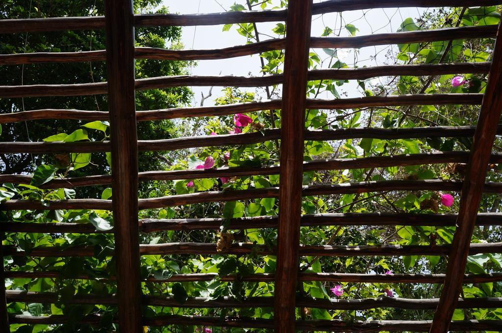 Bed and breakfast Zenaliza Tulum