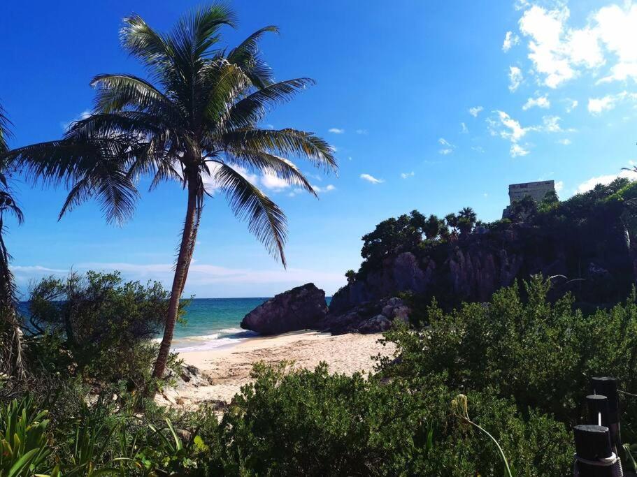 Apartamento Jungle Penthouse With *private Plunge Pool*/aldea Zama *