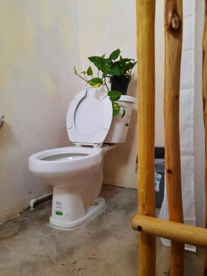 Guest house Casa Naia Tulum
