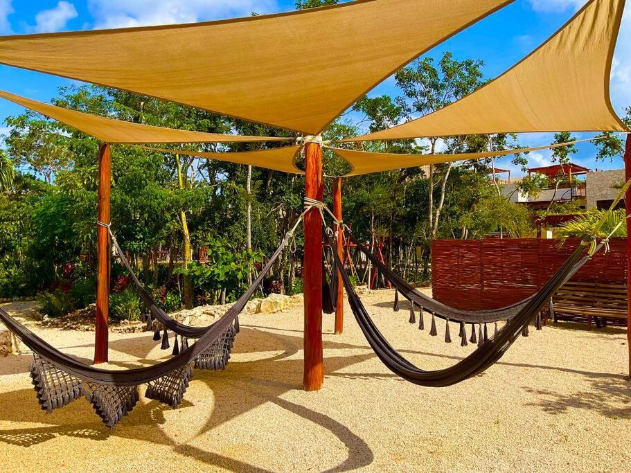 Selva Norte Apartamento