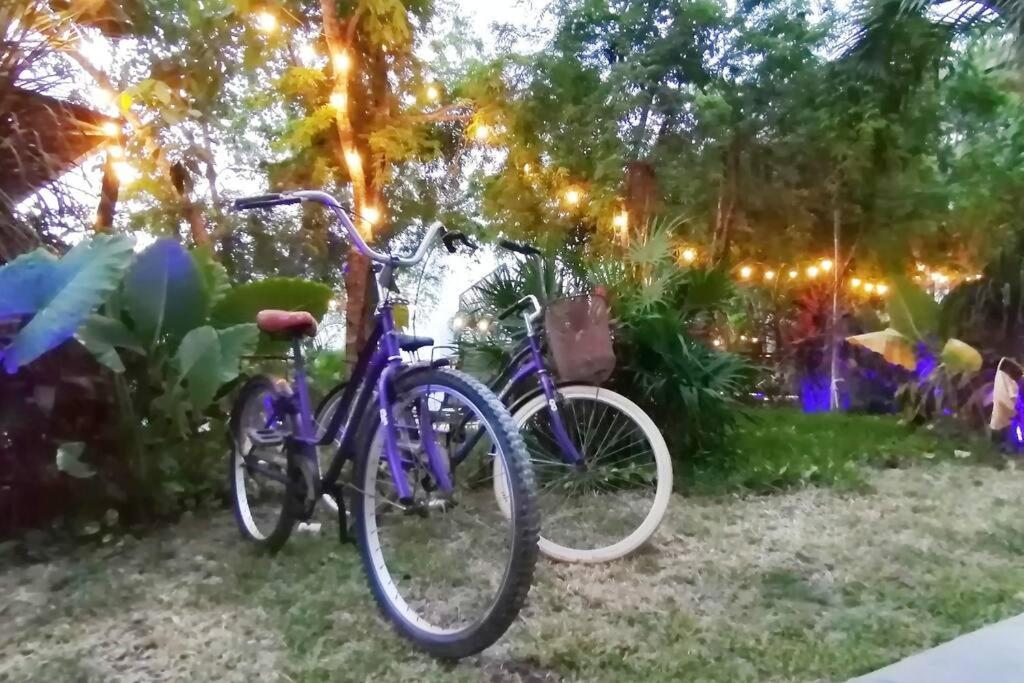 Apartamento Dk31 Wifi 600mb, Cheap Scooters By Moikkarentals *