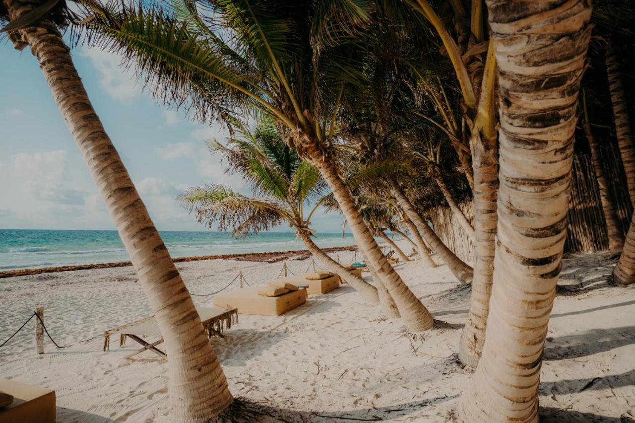 Astra Hotel Tulum