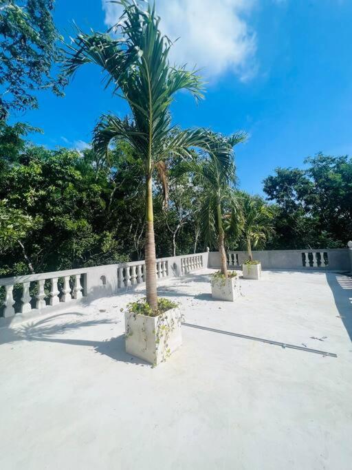 Casa Halo - Lux Mansion, Heated Pool, Sonos Speakers, Gated Community And Staff Villa