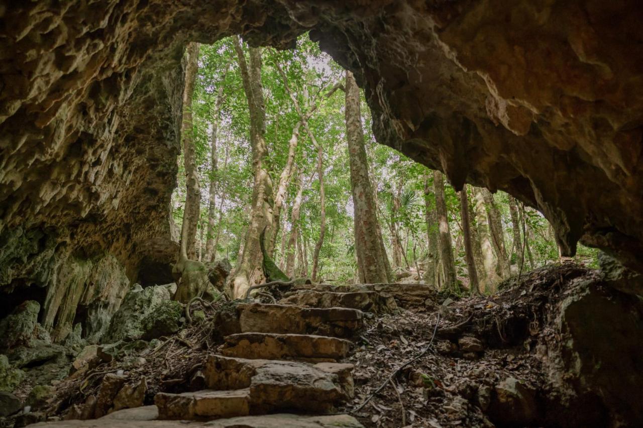 Villa Naum - Secluded With Private Cenote Tulum