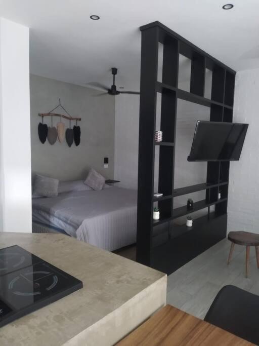 Loft En Apartamento Tulum