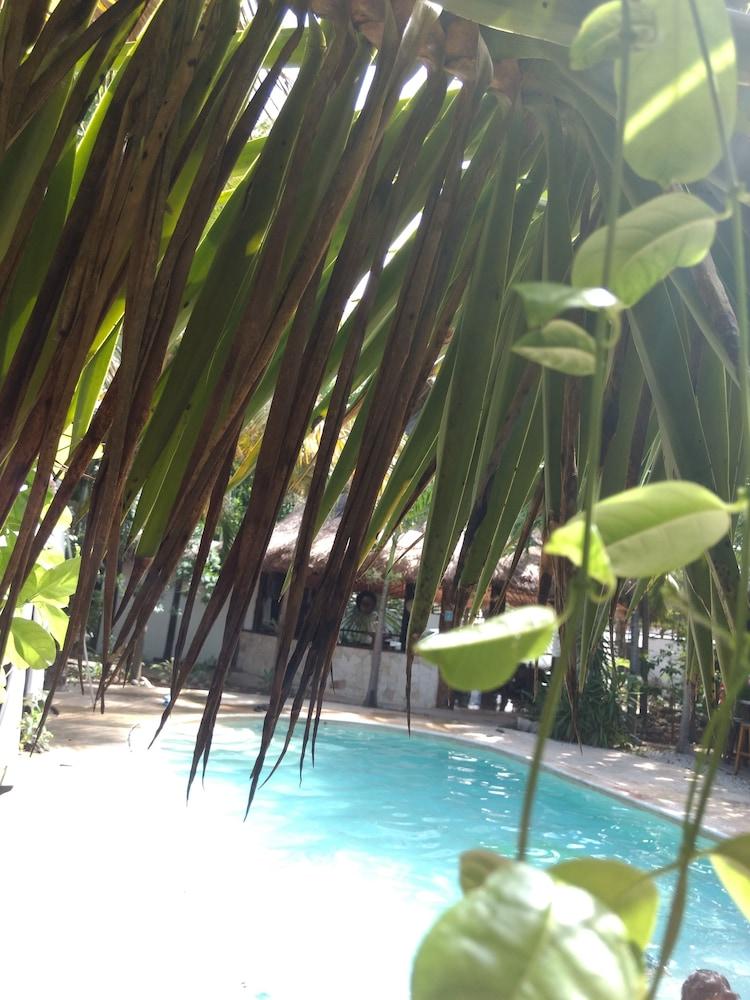 Hotel & Gardens 3*