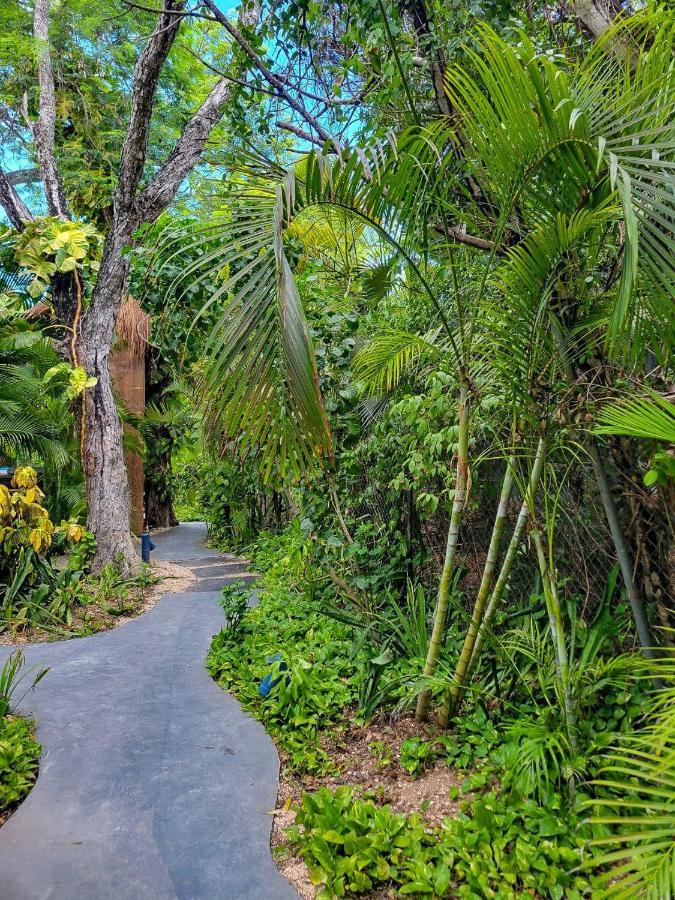 Hostal Maui
