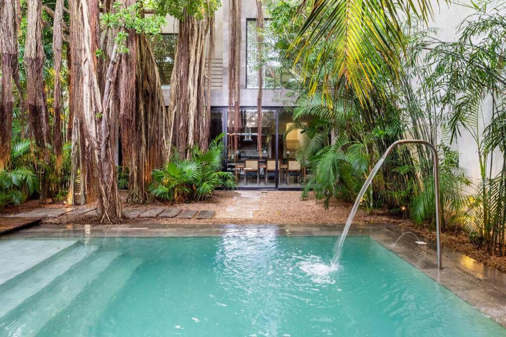 Enjoy Nature At With 100 Year Old Tree, Private Pool & Concierge Service * Tulum