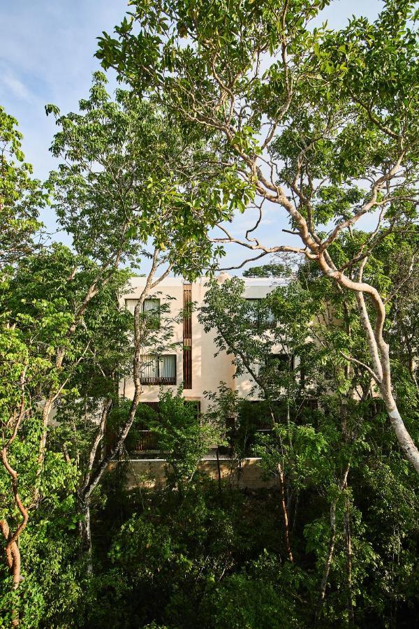 Afra 3 Beautiful Jungle House With Private Pool