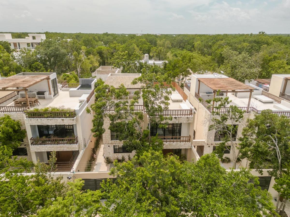 Сasa de vacaciones New Aura Jungle Getaway