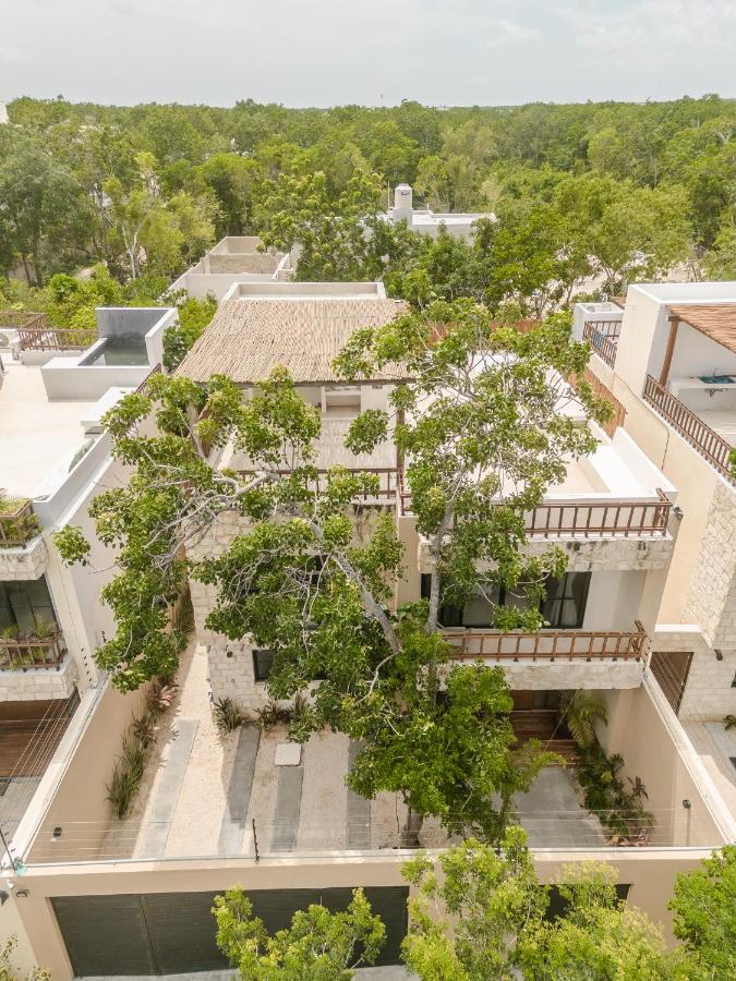 Сasa de vacaciones New Aura Jungle Getaway *