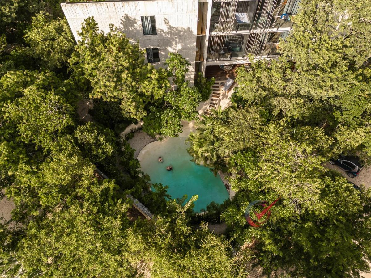 Apartamento New Luxury Con Plunge Pool Privado Tulum