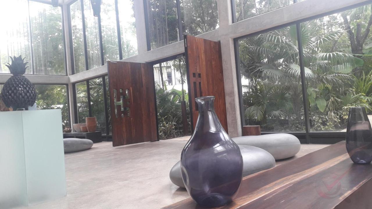 Apartamento New Luxury Con Plunge Pool Privado