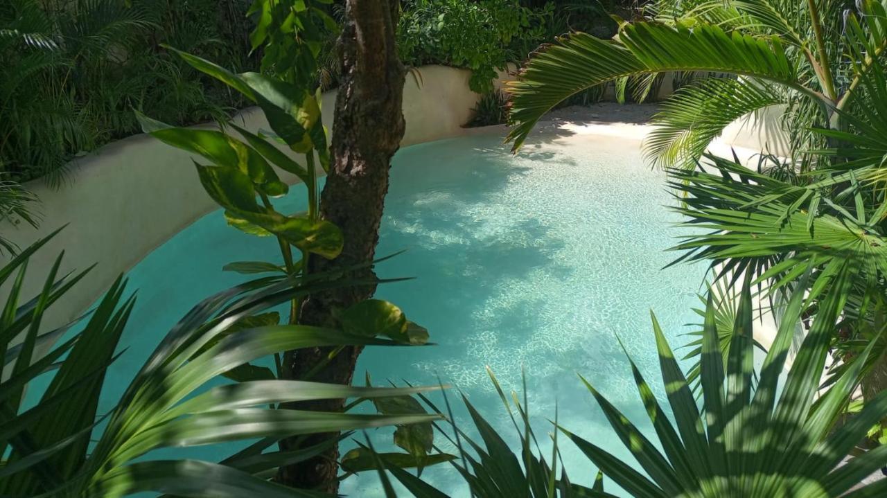New Luxury Con Plunge Pool Privado Tulum
