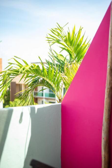 Eco Friendly Aldea Zama Great Location Tulum