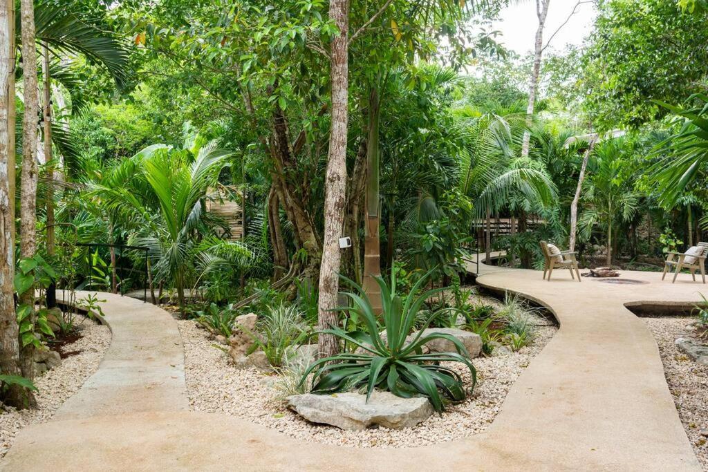 Zen Canto Tuuch :: May The Jungle Be With You Сasa de vacaciones