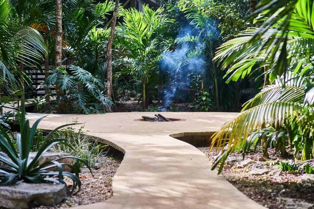 Zen Canto Tuuch :: May The Jungle Be With You *