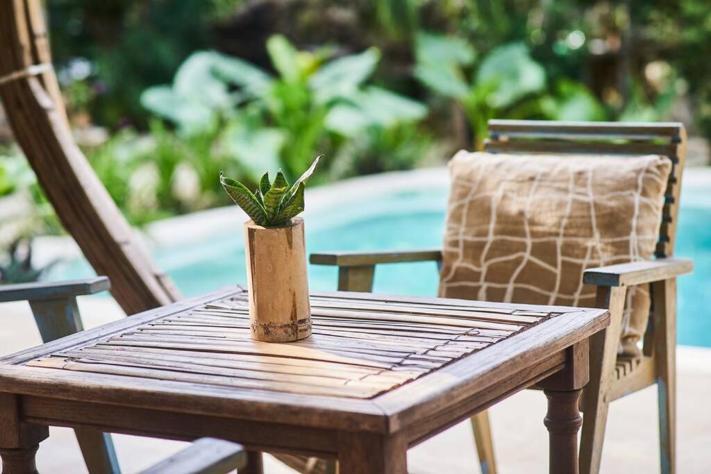 Zen Canto Tuuch :: May The Jungle Be With You Tulum