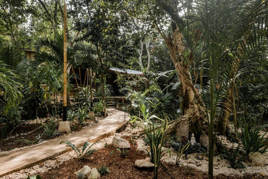Zen Canto Tuuch :: May The Jungle Be With You Сasa de vacaciones