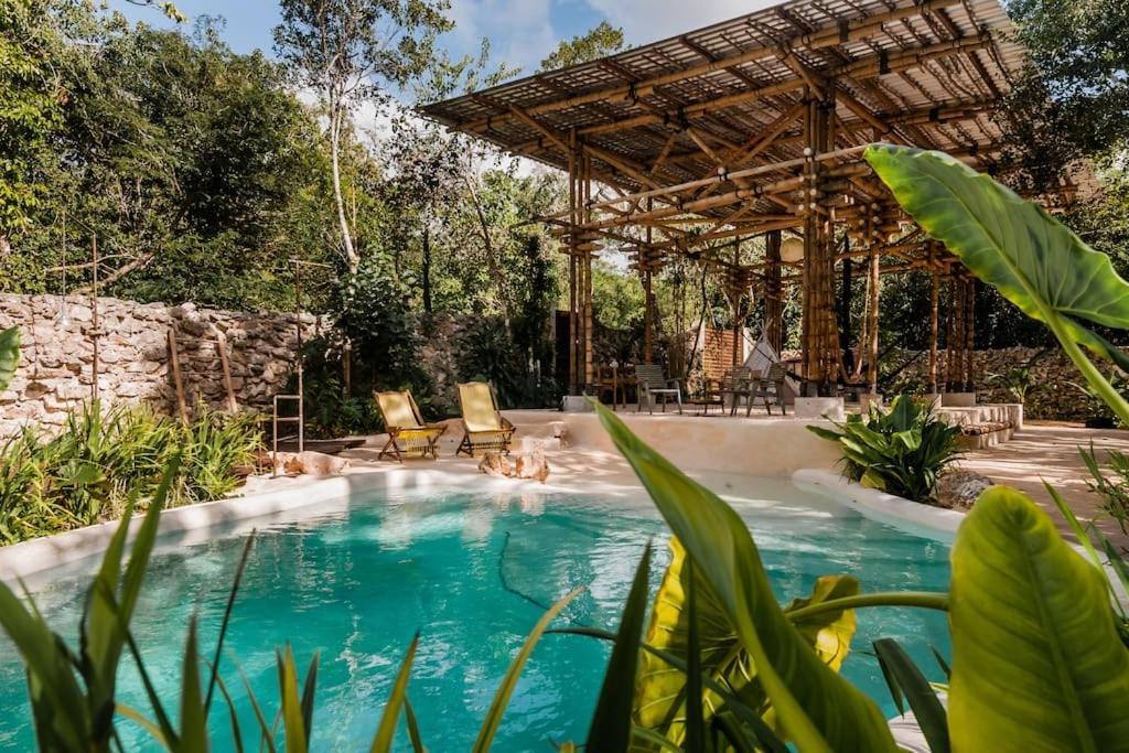 Zen Canto Tuuch :: May The Jungle Be With You Сasa de vacaciones *