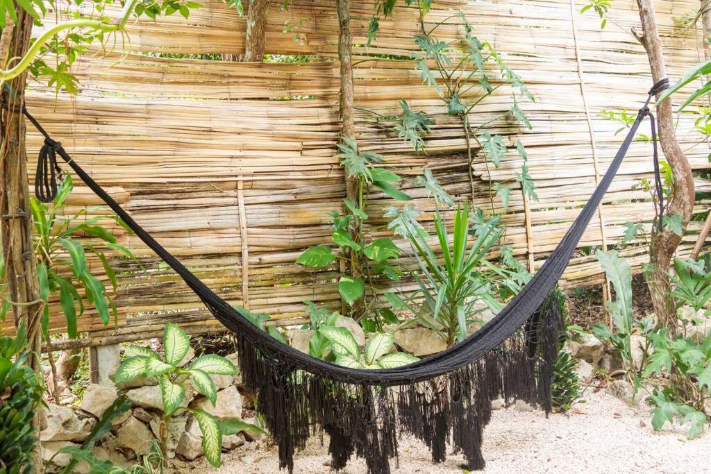 Zen Canto Tuuch :: May The Jungle Be With You Сasa de vacaciones Tulum
