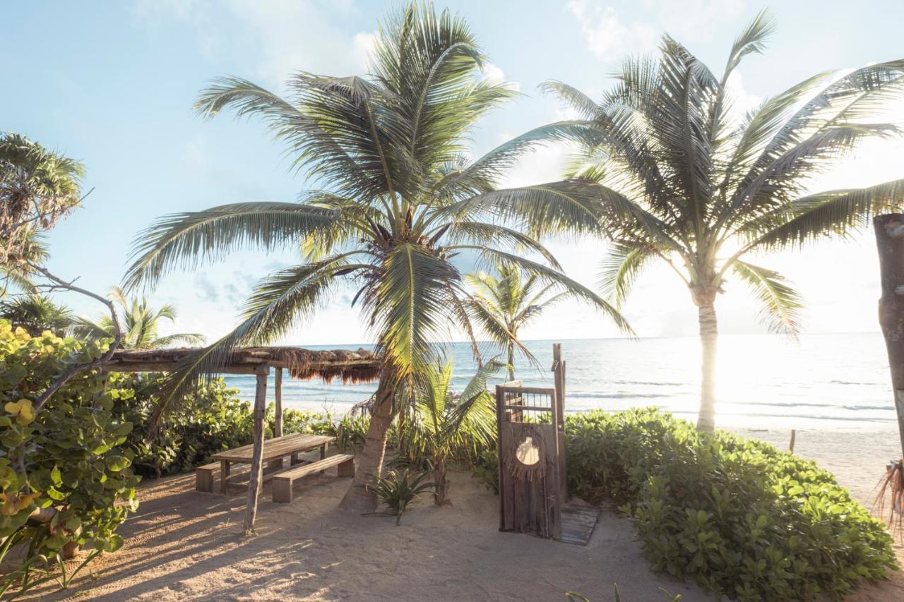 Casa Phoenix 5* Tulum