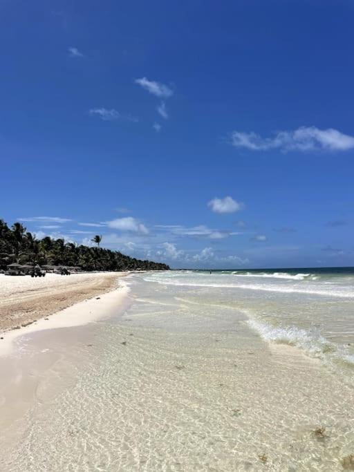 Jungle Eco-luxury Tulum