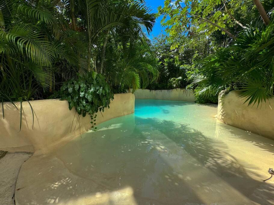 Luxury Studio-private Individual Pool-iik C409 By Sandy Powerful Tulum