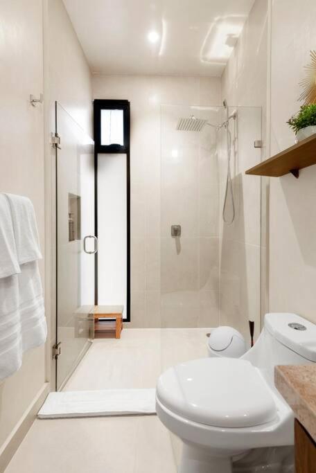 Casa Ohana~3br W/ Private Pool & Rooftop Jacuzzi, Wifi, Gym, & 5 Km To Tulum