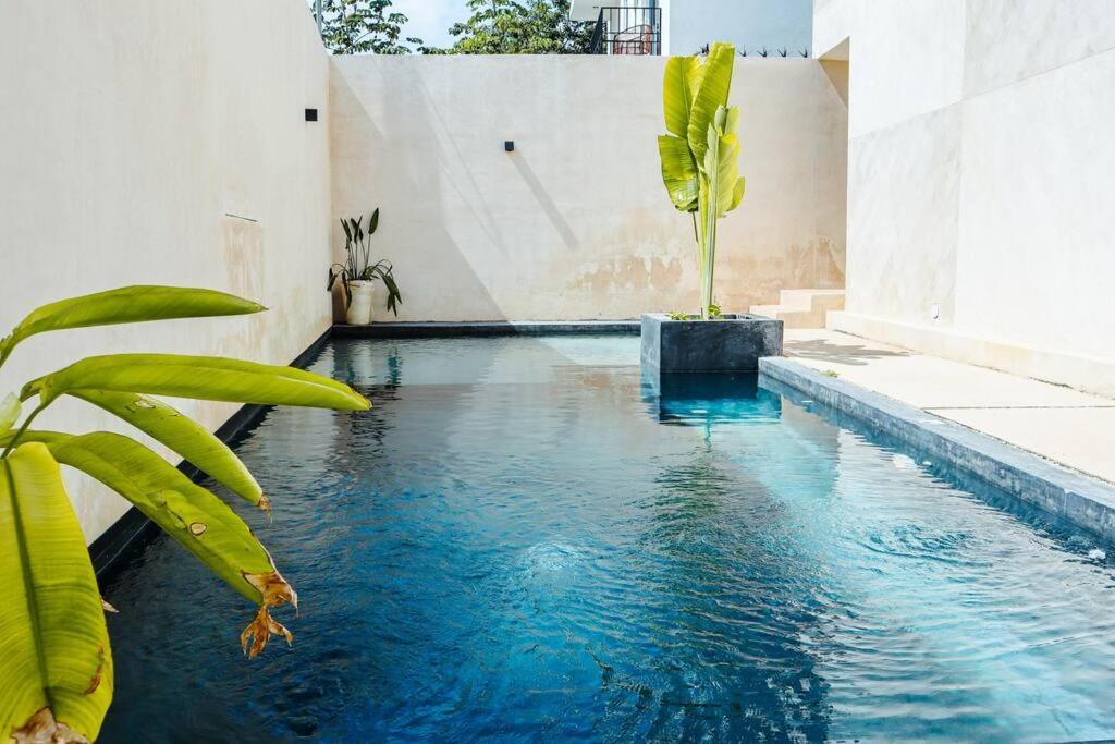 Apartamento Zen 09 - La Veleta Jungle View *wifi, 2 Pools*