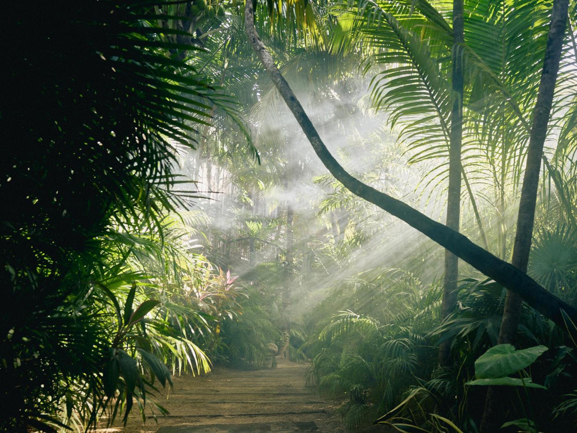 Be & (adults Only) 5* Tulum