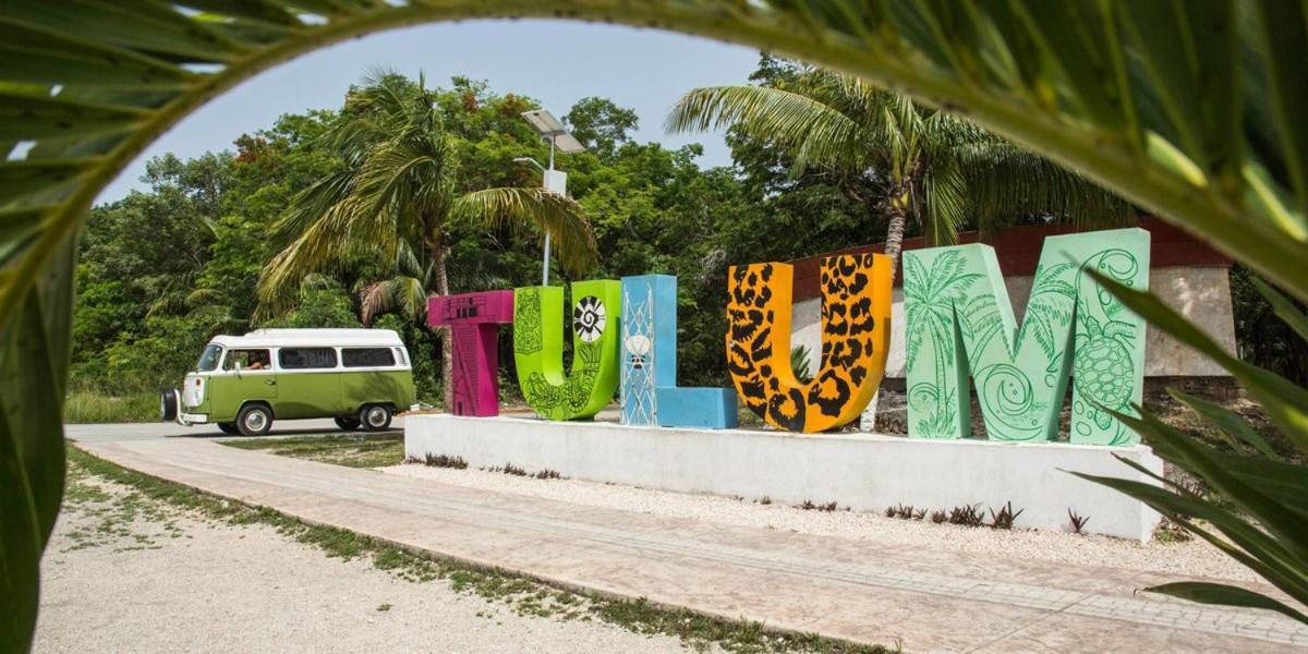 Region 15, Proche Et Centre, Au Coeur De La Jungle Avec Piscine, Gym, Mini Golf , Tamazcal, Coworking, Zone De Hamac Apartamento