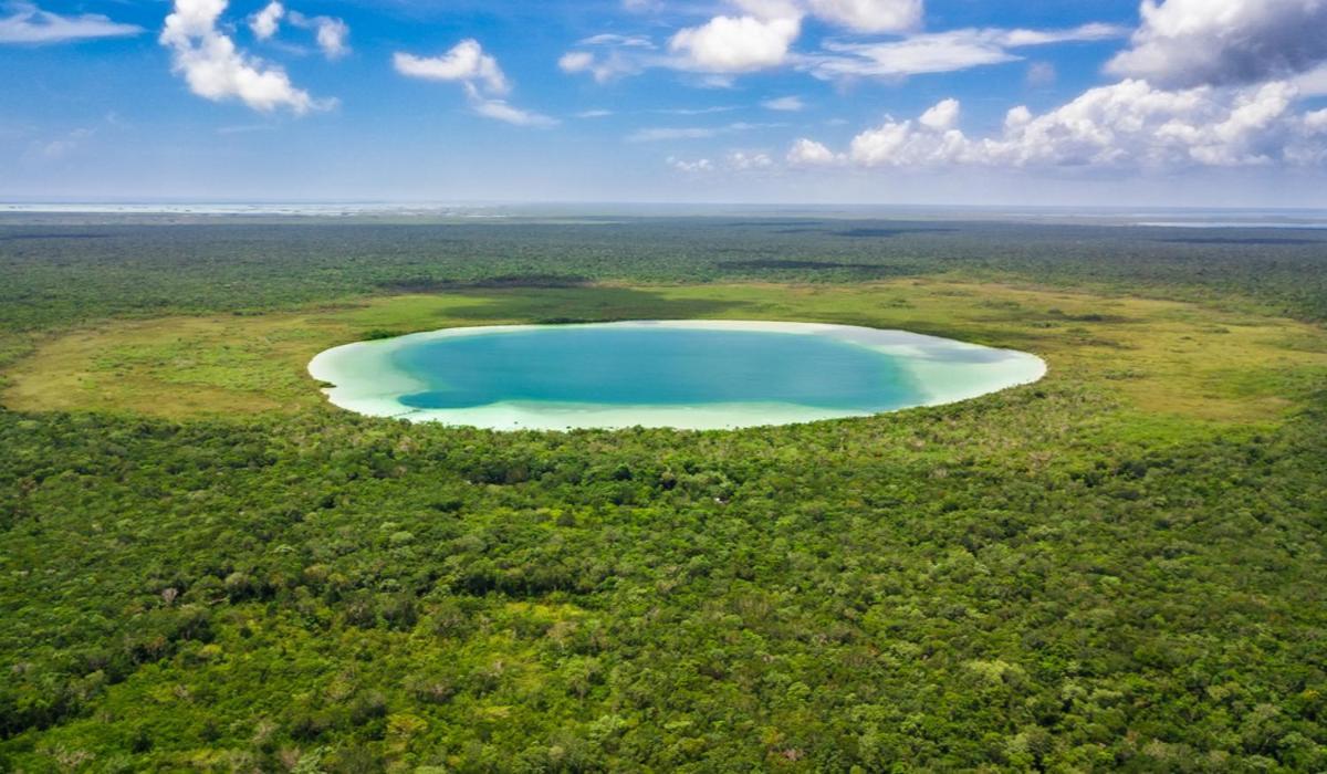 Apartamento Region 15, Proche Et Centre, Au Coeur De La Jungle Avec Piscine, Gym, Mini Golf , Tamazcal, Coworking, Zone De Hamac *