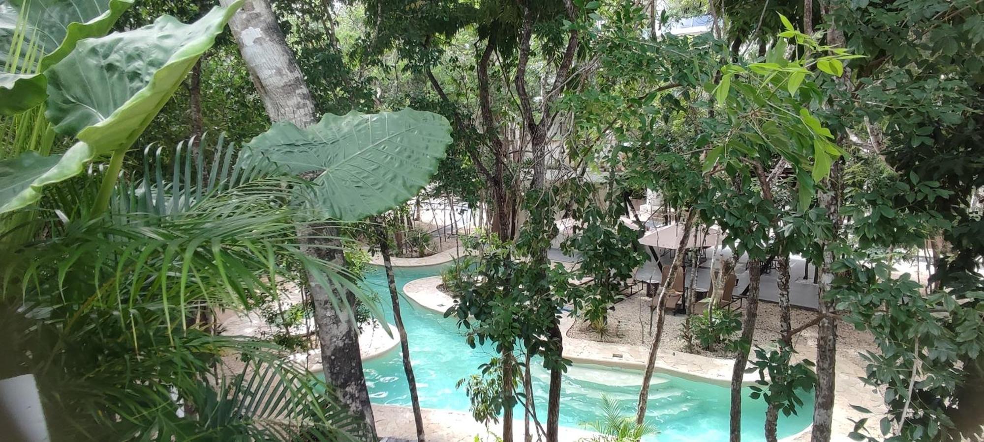 Apartamento Region 15, Proche Et Centre, Au Coeur De La Jungle Avec Piscine, Gym, Mini Golf , Tamazcal, Coworking, Zone De Hamac