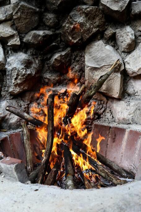 Сasa de vacaciones Zen Canto Tuuch :: May The Jungle Be With You