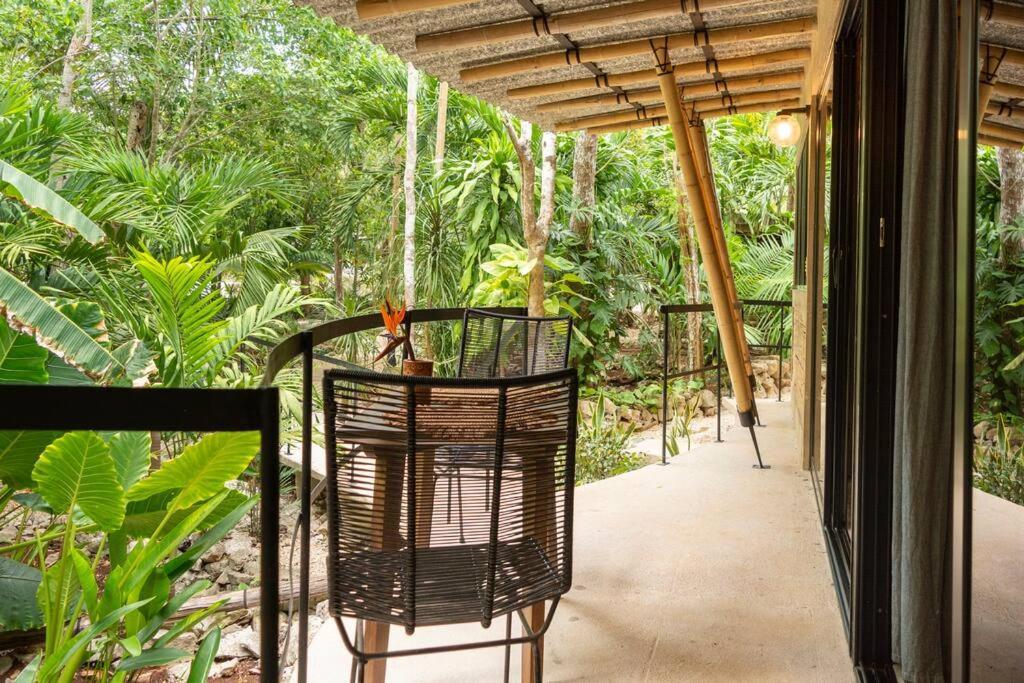 Сasa de vacaciones Zen Canto Tuuch :: May The Jungle Be With You *